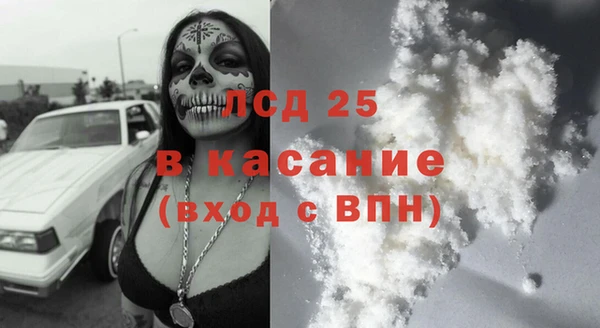 прущие грибы Вяземский