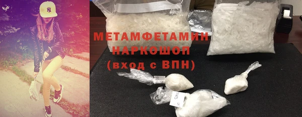 прущие грибы Вяземский