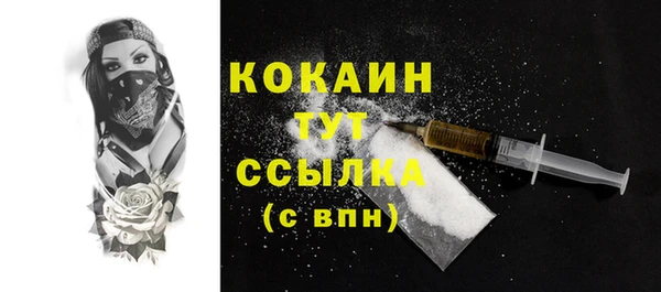 прущие грибы Вяземский