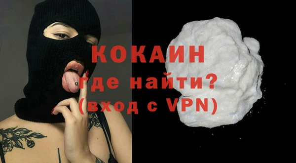 прущие грибы Вяземский