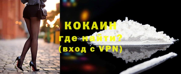 прущие грибы Вяземский