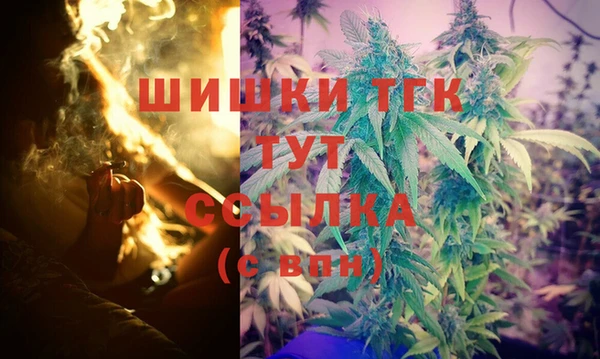 прущие грибы Вяземский