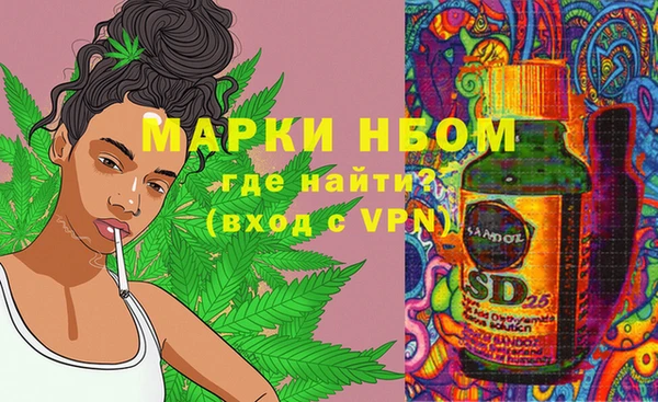 прущий лед Надым