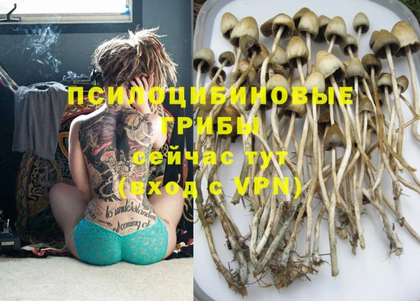 твердый Вязьма