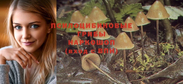 прущие грибы Вяземский